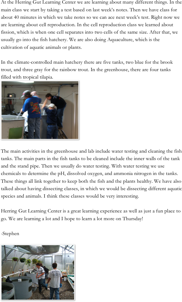 At the Herring Gut Learning Center we are learning about many different things. In the main class we start by taking a test based on last week’s notes. Then we have class for about 40 minutes in which we take notes so we can ace next week’s test. Right now we are learning about cell reproduction. In the cell reproduction class we learned about fission, which is when one cell separates into two cells of the same size. After that, we usually go into the fish hatchery. We are also doing Aquaculture, which is the cultivation of aquatic animals or plants.
 
In the climate-controlled main hatchery there are five tanks, two blue for the brook trout, and three gray for the rainbow trout. In the greenhouse, there are four tanks filled with tropical tilapia.
￼

The main activities in the greenhouse and lab include water testing and cleaning the fish tanks. The main parts in the fish tanks to be cleaned include the inner walls of the tank and the stand pipe. Then we usually do water testing. With water testing we use chemicals to determine the pH, dissolved oxygen, and ammonia nitrogen in the tanks. These things all link together to keep both the fish and the plants healthy. We have also talked about having dissecting classes, in which we would be dissecting different aquatic species and animals. I think these classes would be very interesting. 

Herring Gut Learning Center is a great learning experience as well as just a fun place to go. We are learning a lot and I hope to learn a lot more on Thursday!

-Stephen

￼